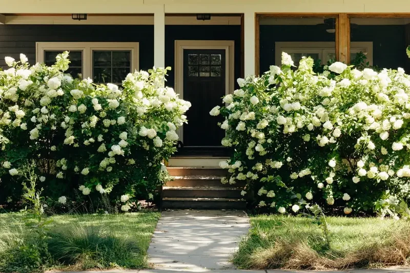 Front view of home and garden